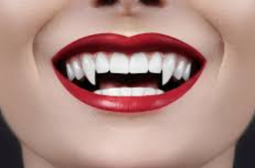 canine teeth