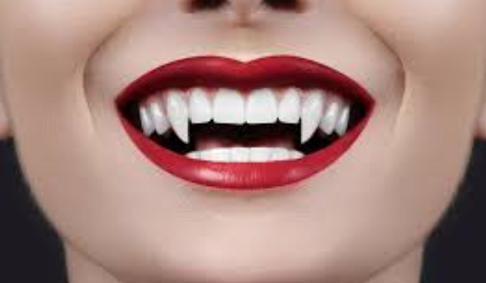canine teeth